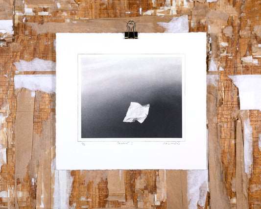 PAVANE I - polymer etsning