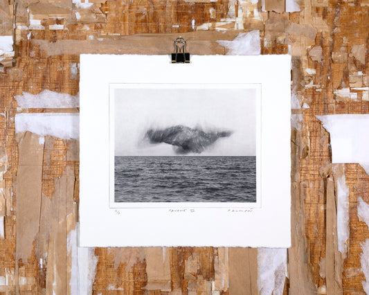 PAVANE VI - polymer etsning